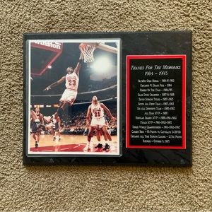 Michael Jordan Memorabilia Picture Framed Stats